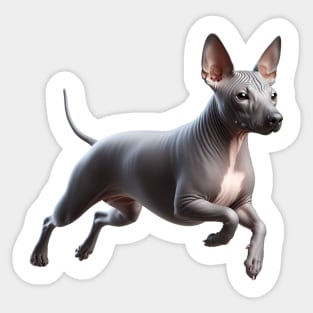 American Hairless Terrier Sticker